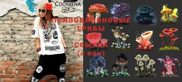 трава Новосибирск
