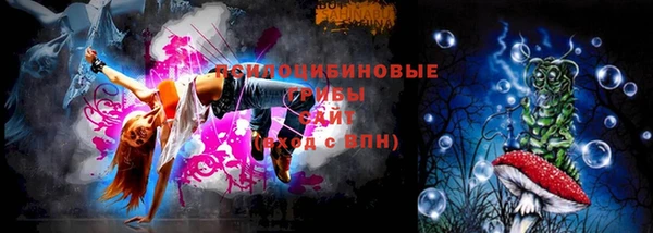 ешки Абаза
